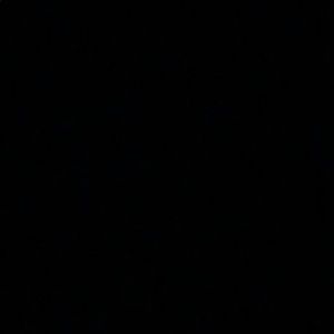 Meet your Posher, Bella